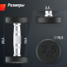 Гантель круглая UNIX FIT PRO обрезиненная 2,5 кг DBRND2_5PBKx2