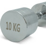 Гантель UNIX FIT PRO круглая хромированная 10 кг DBRND10PCE